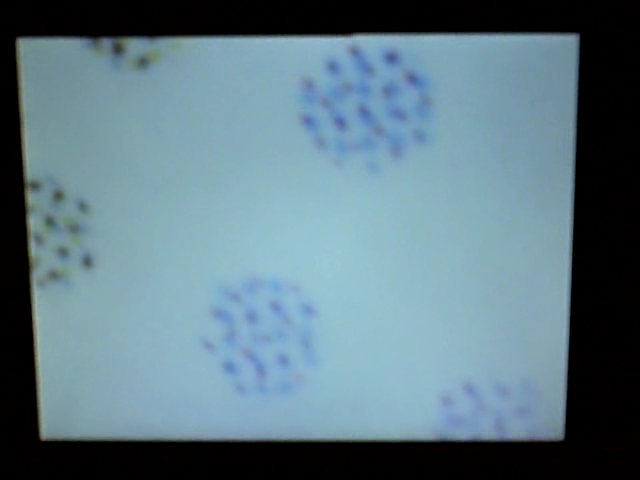 paper magnified 200x