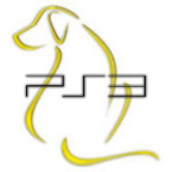 ps3 ydl logo